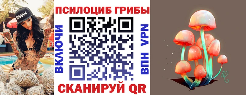 Псилоцибиновые грибы MAGIC MUSHROOMS  Мамадыш 