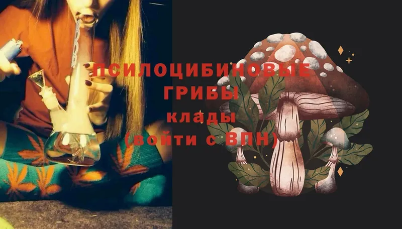 Псилоцибиновые грибы MAGIC MUSHROOMS  Мамадыш 