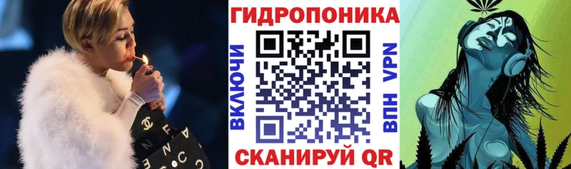 Шишки марихуана Amnesia Мамадыш